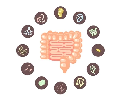 Probiotics muaj txiaj ntsig zoo rau tib neeg txhua hnub