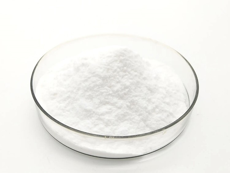 Ococcus Probiotics.jpg Ococcus Probiotics.jpg